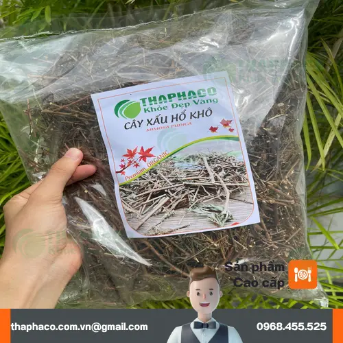 Thành phẩm cây xấu hổ khô chất lượng tại Thaphaco