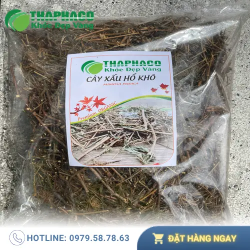 Hình ảnh sản phẩm cây xấu hổ khô đóng gói tại THAPHACO