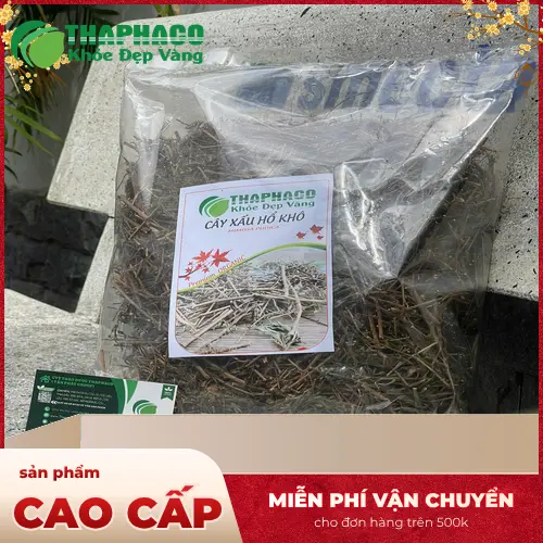 Cây xấu hổ khô Dược Liệu THAPHACO