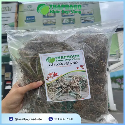 Quy trình đóng gói cây xấu hổ khô của Thaphaco đảm bảo vệ sinh