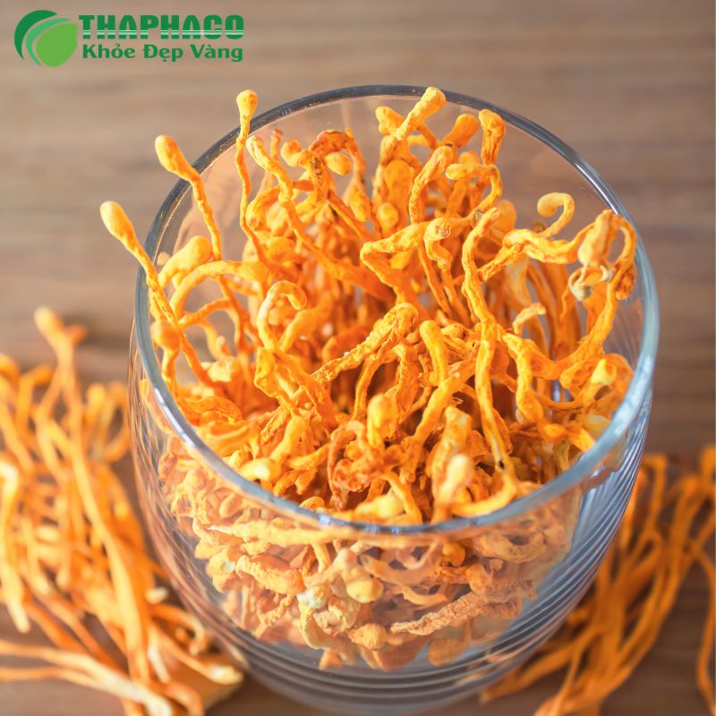 Thaphaco Cung Cấp Nguồn Dược Liệu Uy Tín, Chuẩn Sạch Cho Sức Khỏe Cộng Đồng