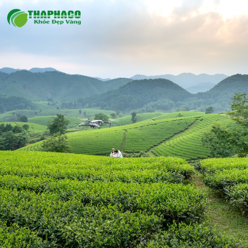 Xoắn tinh hoàn khó phòng ngừa hoàn toàn nhưng có thể chủ động giảm thiểu rủi ro