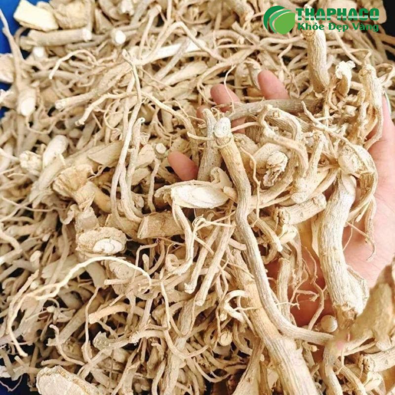 Dược Liệu Hỗ Trợ Sức Khỏe Sinh Lý Từ Thaphaco