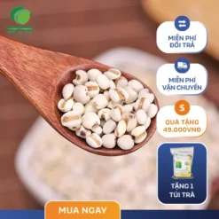 Tung Deal Sốc: Mua 1 Ý Dĩ Tặng Trà Mát Gan - Sức Khỏe Vàng!