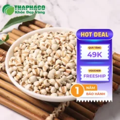 Nên mua Ý Dĩ chất lượng ở đâu? Khám phá THAPHACO!