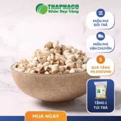 Mua Ý Dĩ Chất Lượng Ở Đâu? Đánh Giá Từ Dược Sĩ