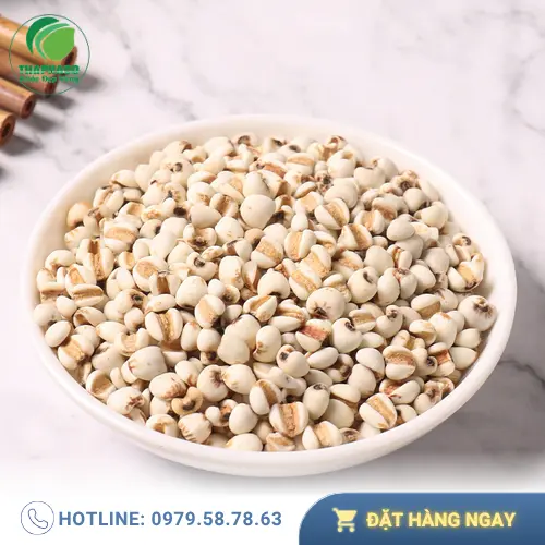 Ý dĩ khô chất lượng cao của THAPHACO với hạt đều, màu trắng ngà.