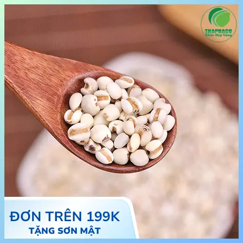 Hình ảnh hạt ý dĩ khô chất lượng cao