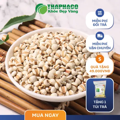 Công dụng ý dĩ trong ẩm thực và làm đẹp