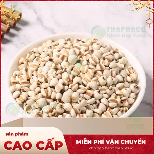 Quy trình kiểm định chất lượng Ý Dĩ tại THAPHACO
