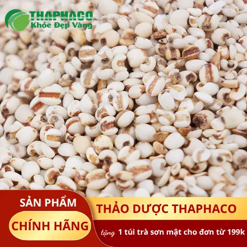 Hạt ý dĩ trắng đều, không mốc, không lẫn tạp chất