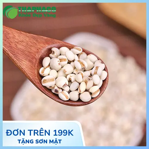 Bát chè ý dĩ hạt sen thanh mát, trang trí đẹp mắt.