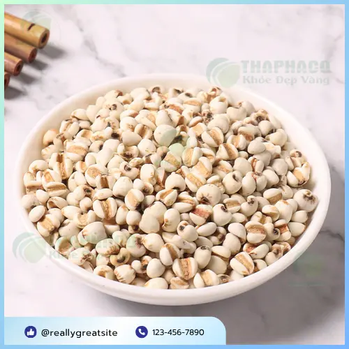 Giá Ý Dĩ THAPHACO hấp dẫn với ưu đãi đặc biệt