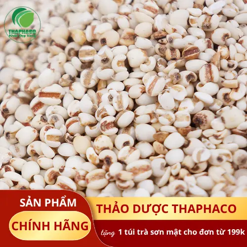 Cách nhận biết Ý Dĩ chất lượng cao