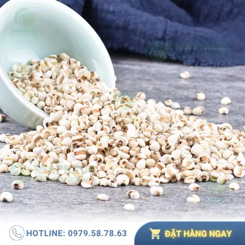 Ý dĩ đóng gói cẩn thận, nhãn mác rõ ràng từ THAPHACO