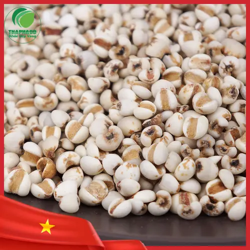Các món ăn ngon và bổ dưỡng chế biến từ hạt ý dĩ