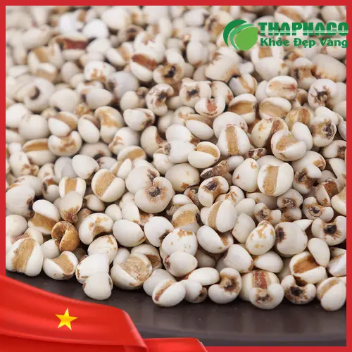 Nhiều cách chế biến ý dĩ thành món ăn ngon