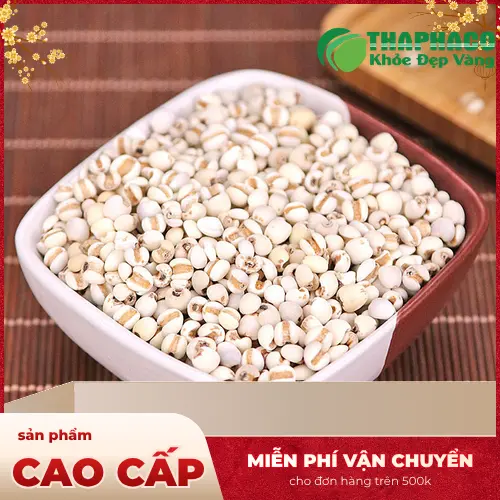 Ưu đãi hấp dẫn khi mua ý dĩ tại THAPHACO