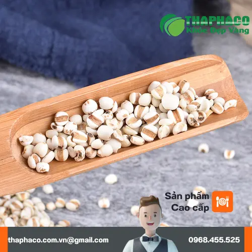 Ý dĩ THAPHACO nguyên chất, sẵn sàng cho mọi nhu cầu sử dụng