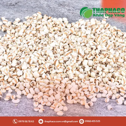 Ý dĩ được chế biến thành nhiều món ăn khác nhau, trình bày hấp dẫn.