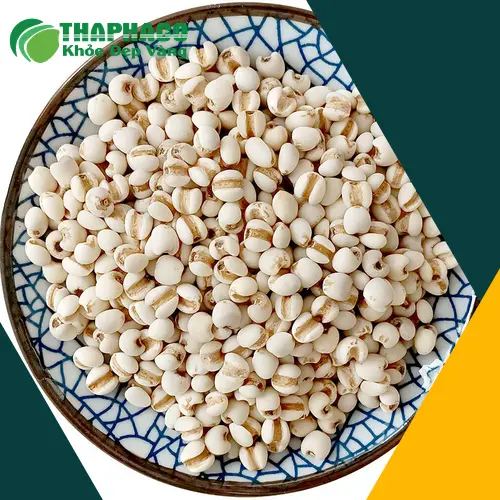 Khám phá các sản phẩm ý dĩ chất lượng cao từ THAPHACO