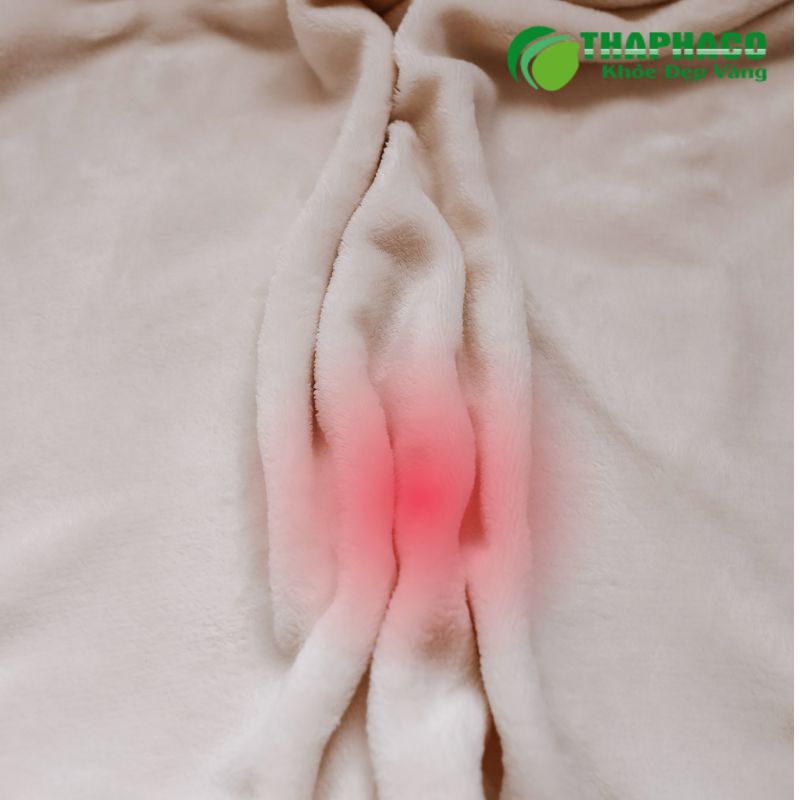 áp xe tuyến bartholin là gì