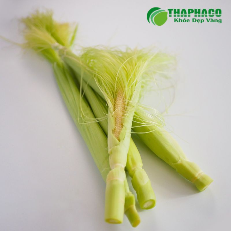 Các Loại Dược Liệu Hỗ Trợ Giảm Bí Tiểu Hiệu Quả