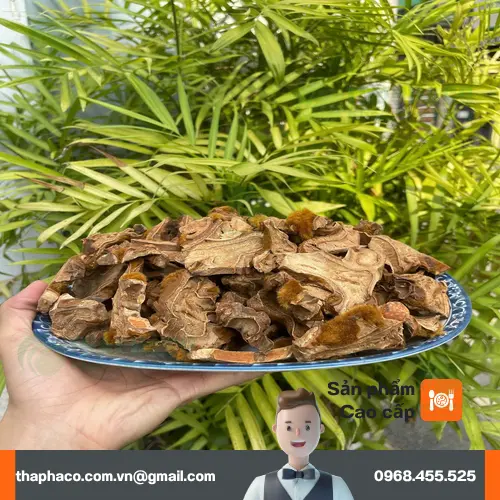 Hình ảnh cẩu tích khô đã được chế biến sẵn sàng sử dụng