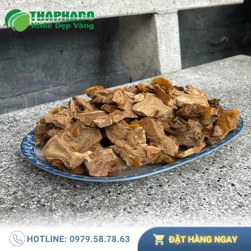 Cách dùng cẩu tích hiệu quả trong bài thuốc cổ truyền
