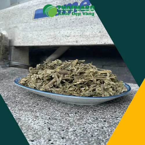 Cây cối xay tươi tại THAPHACO
