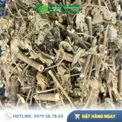 Địa chỉ bán cây cối xay sấy khô tại TP.HCM | THAPHACO