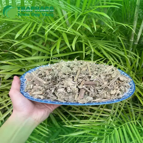 Cây cối xay sấy khô giá tốt tại TP.HCM