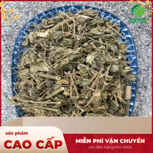 Liên hệ Dược Liệu THAPHACO để mua cây cối xay sấy khô