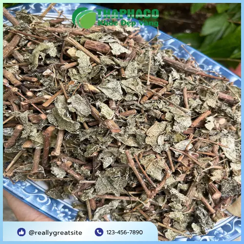 Lợi ích sức khỏe của Chè Dây THAPHACO