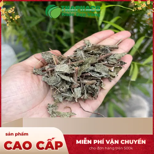 Quy trình sản xuất chè dây khô THAPHACO