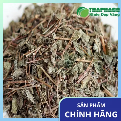 Công dụng chè dây
