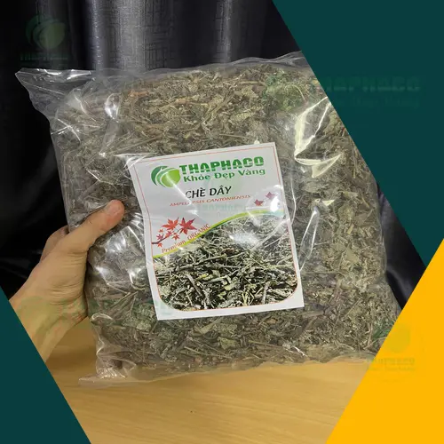 Tác hại của chè dây bị ẩm mốc