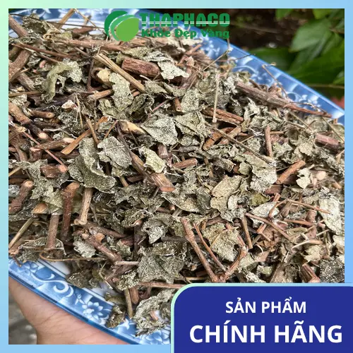 Bảo quản chè dây đúng cách ở nơi khô ráo, thoáng mát