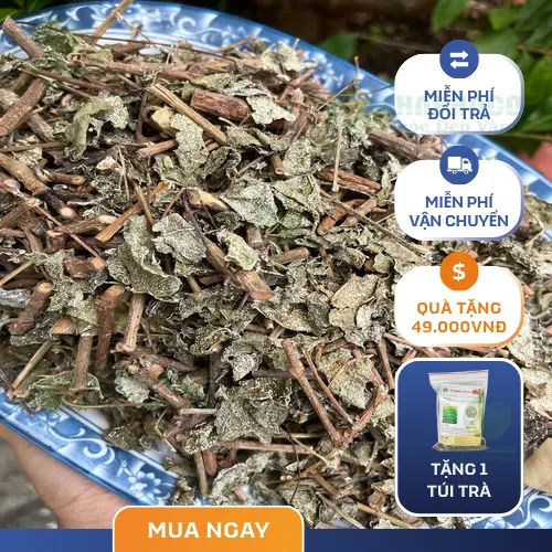 Sản phẩm chè dây khô THAPHACO đạt chuẩn
