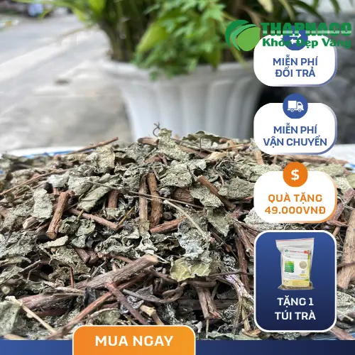 Cách pha và bảo quản chè dây loại 1 đúng cách