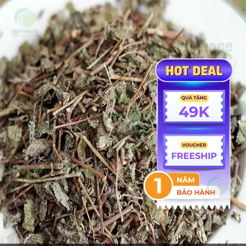 Lưu ý khi sử dụng chè dây khô