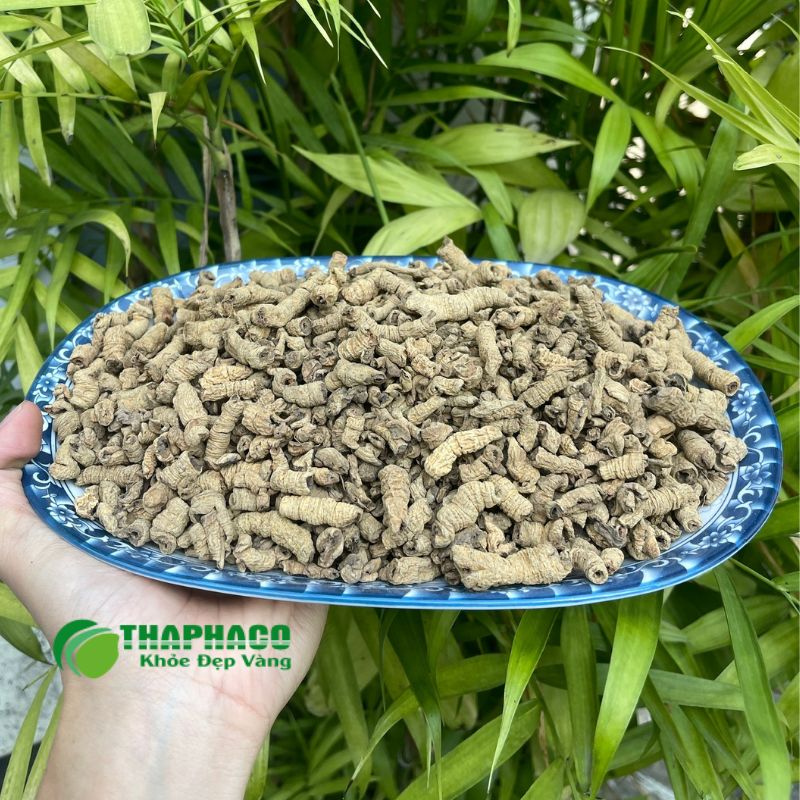Thaphaco là người bạn đồng hành đáng tin cậy, cam kết cung cấp các sản phẩm dược liệu chất lượng cao
