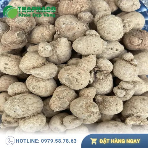 Hướng dẫn sử dụng và bảo quản củ tam thất nam hiệu quả