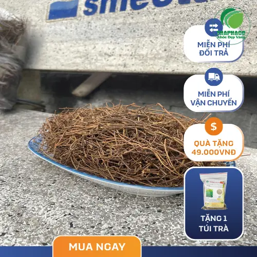 Hình ảnh cây dây tơ hồng tự nhiên đang bám vào thân cây khác