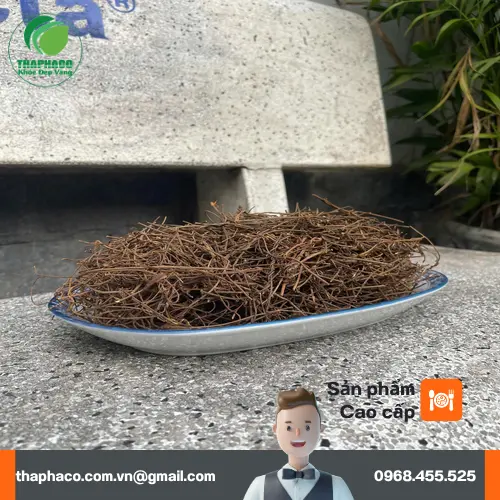 Dây tơ hồng khô chất lượng cao THAPHACO