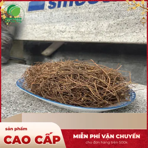 Dây tơ hồng Dược Liệu THAPHACO tươi