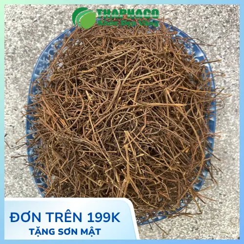 Cách sơ chế và bảo quản dây tơ hồng đúng chuẩn
