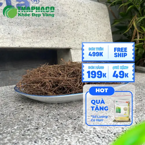 Hướng dẫn bảo quản Dây Tơ Hồng đúng cách để giữ trọn dược tính.