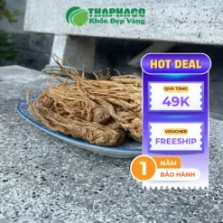 Đương Quy THAPHACO: Mua Ở Đâu Uy Tín, Giá Tốt Tại TP.HCM?