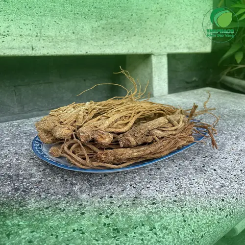 Đương Quy ThaphaCo khô nguyên miếng chất lượng cao